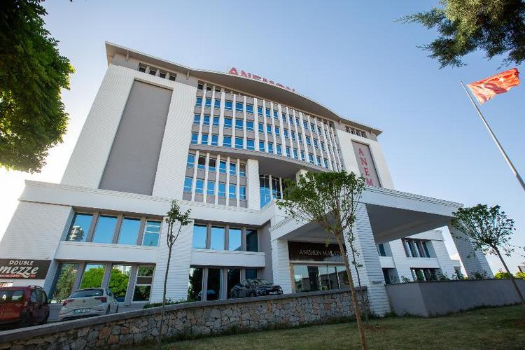 Anemon Malatya