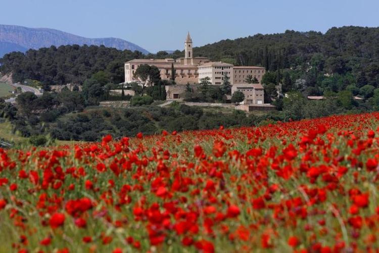 Monestir de les Avellanes Meeting and Ecoresort