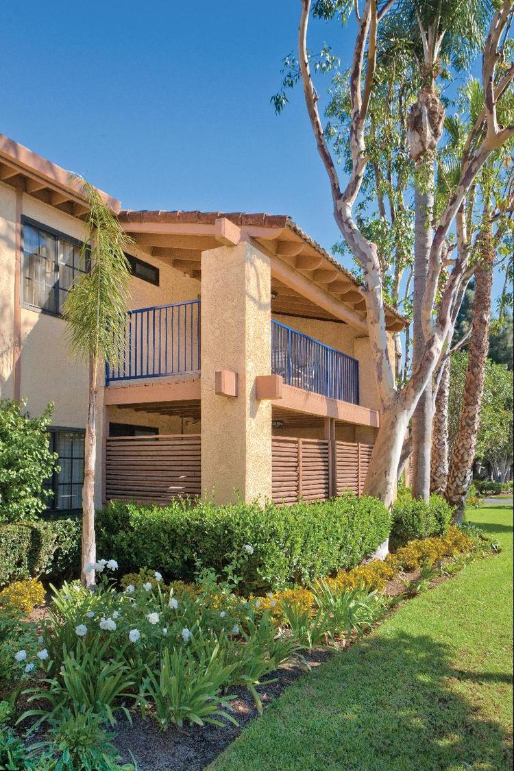Club Wyndham Dolphin's Cove