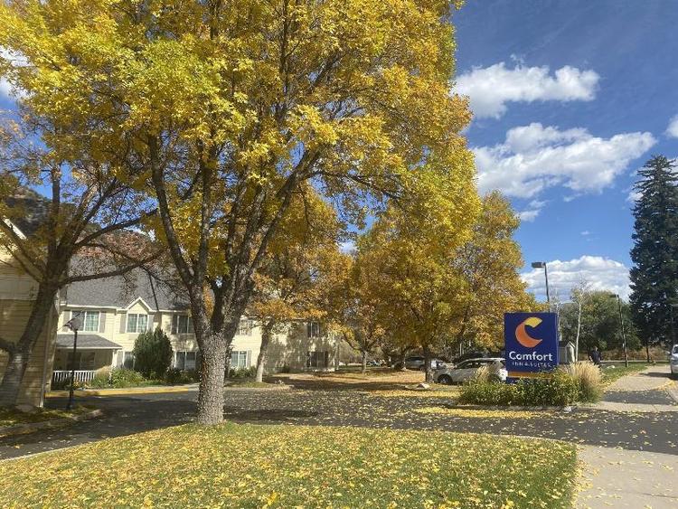 Comfort Inn & Suites Carbondale