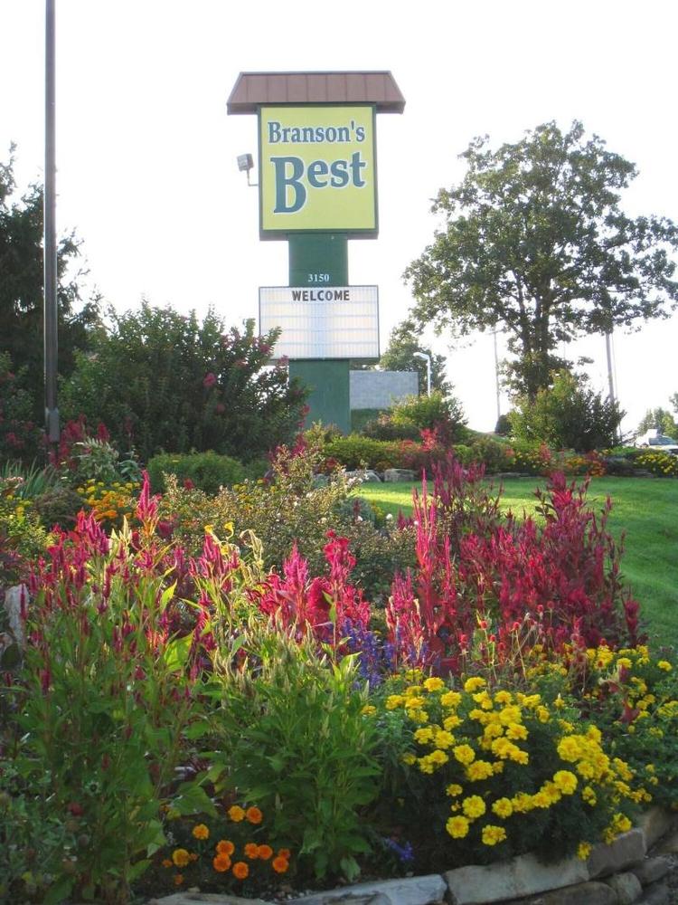 Branson's Best