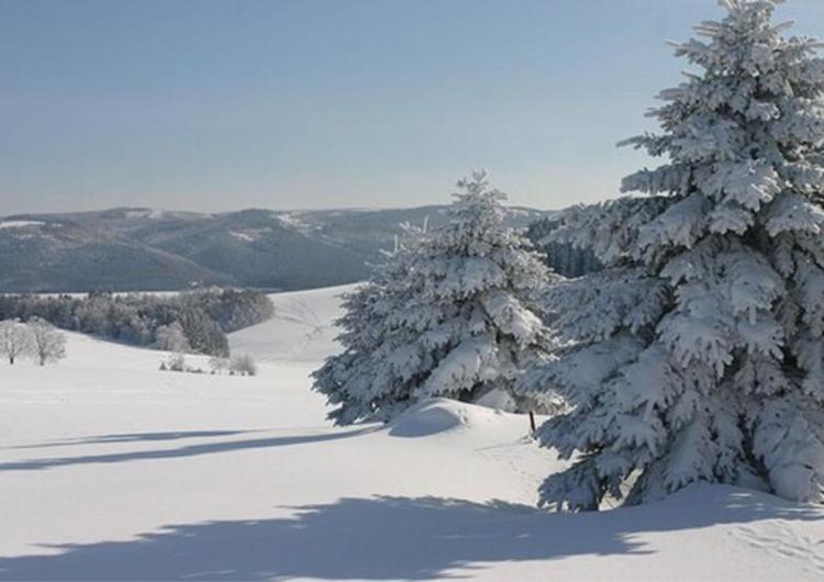 Kreuztanne