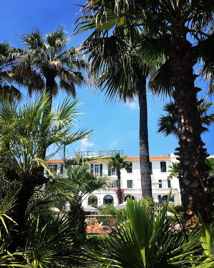Hôtel des Mimosas