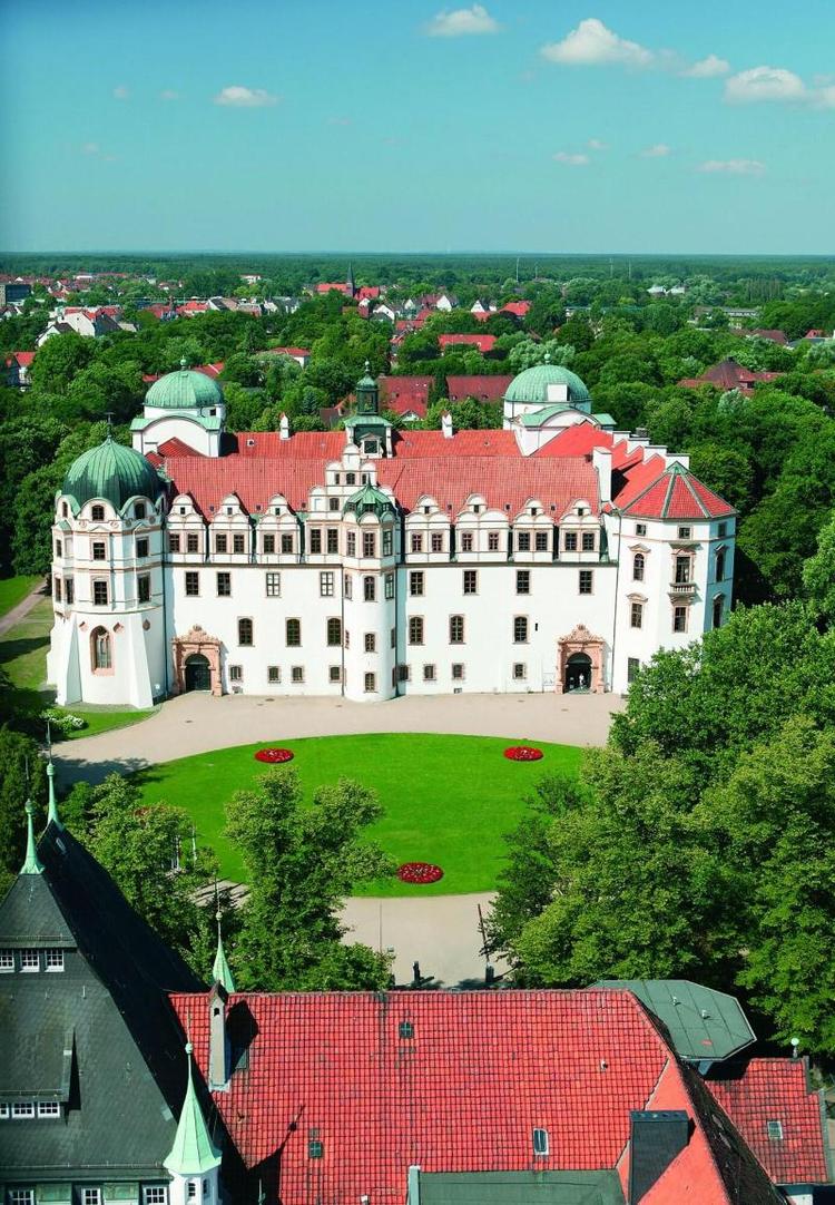 Heidekönig