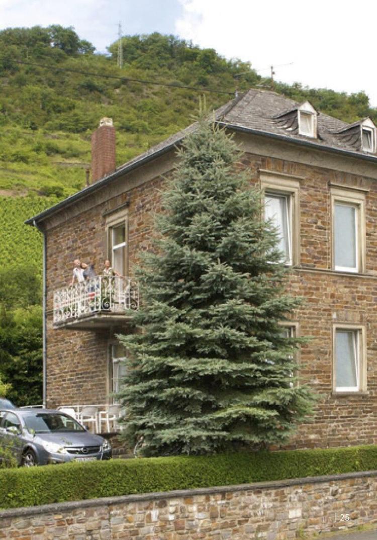 Schloss Hotel Petry