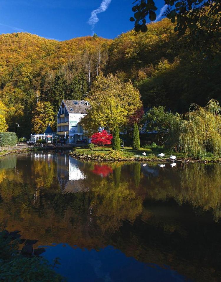 Am Schwanenweiher