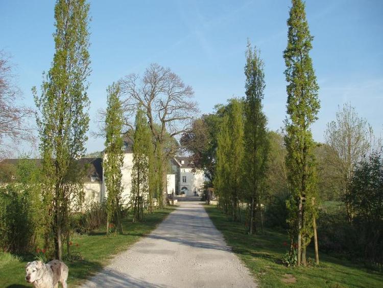Burg Boetzelaer