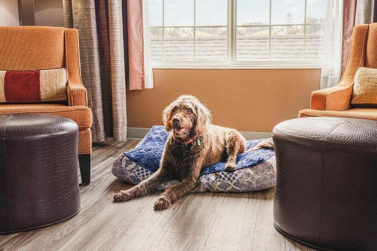 The Ashley Inn & Suites