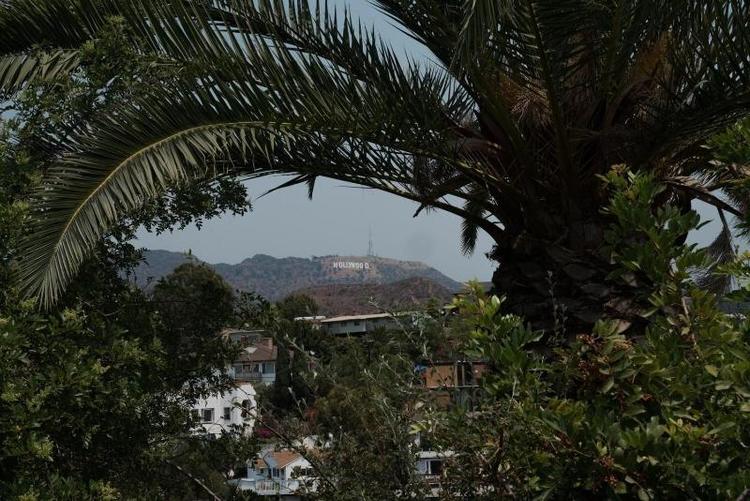 Hollywood Hills