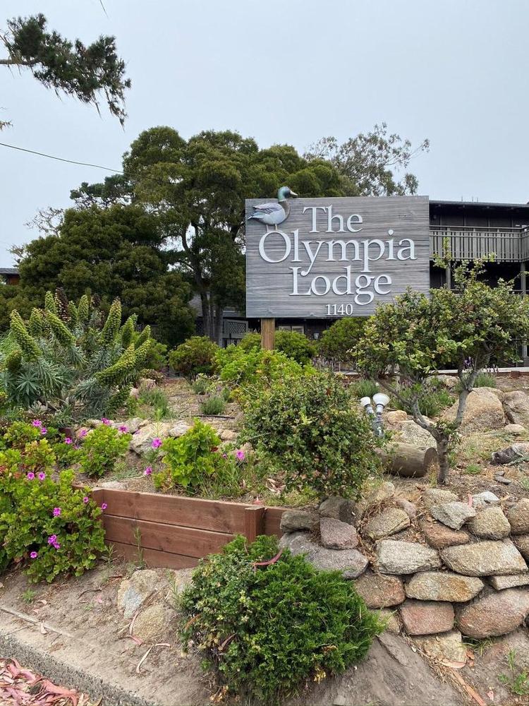 The Olympia Lodge