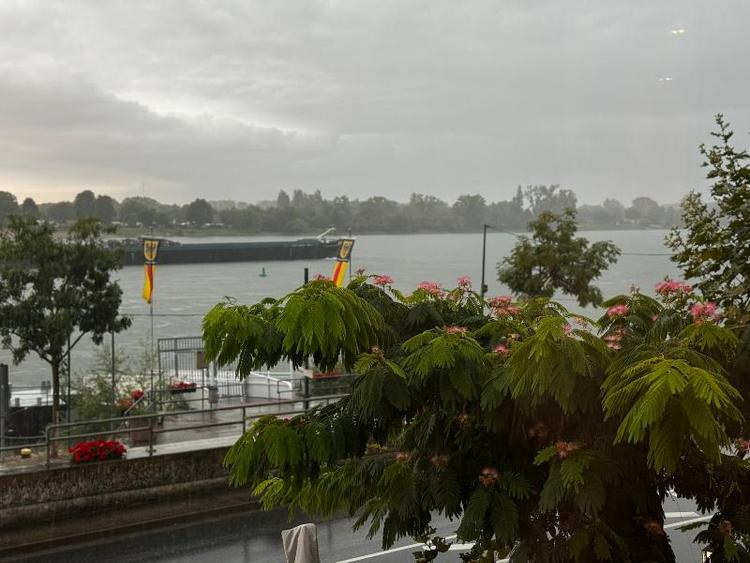 Rhein-Hotel Nierstein