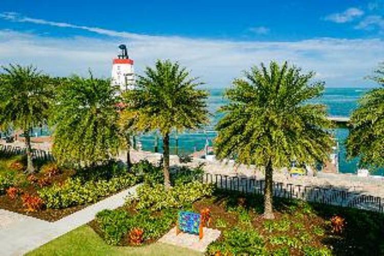 Faro Blanco Resort & Yacht Club Marathon, Curio