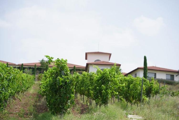 Villa Estet Bag Hotel