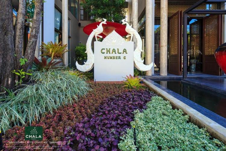 Chala Number 6