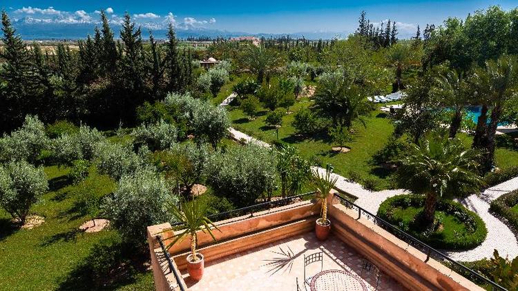 L'oliveraie de L'atlas