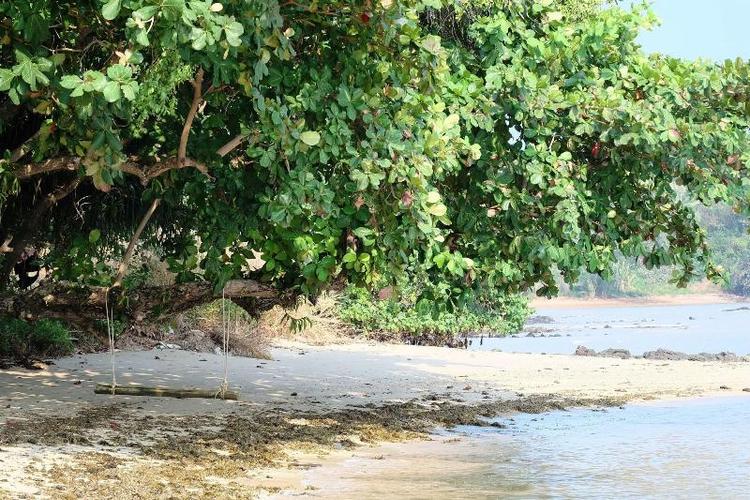 Plub Pla Koh Mak Retreat