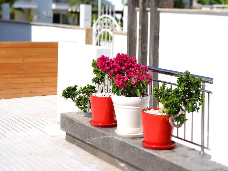 Docs Boutique Hotel Kemer