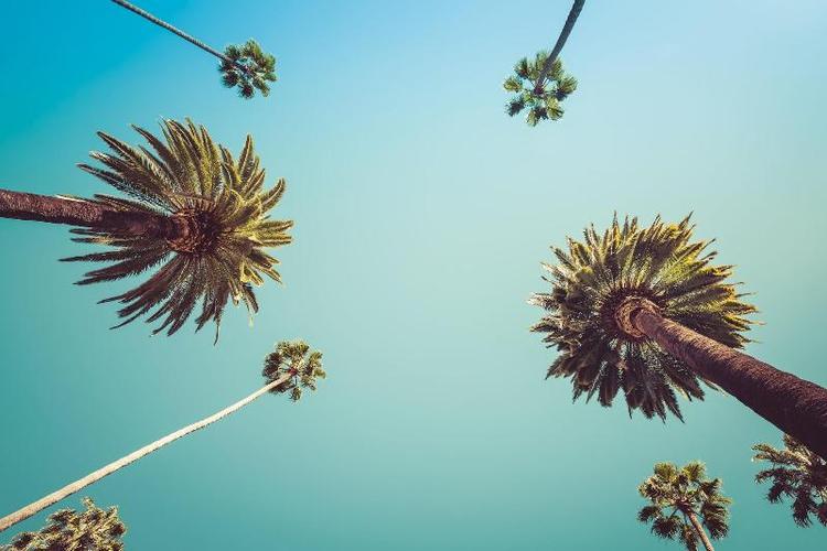 Delos Reyes Palm Springs
