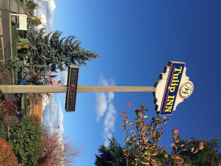 Tulip Inn