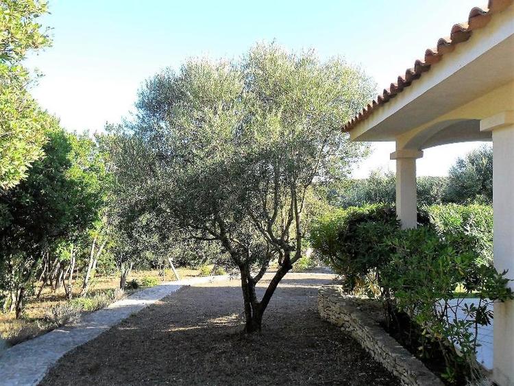 Casa Martini
