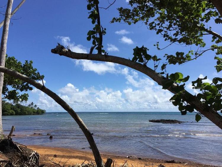 Naivacha Tent Koh Mak