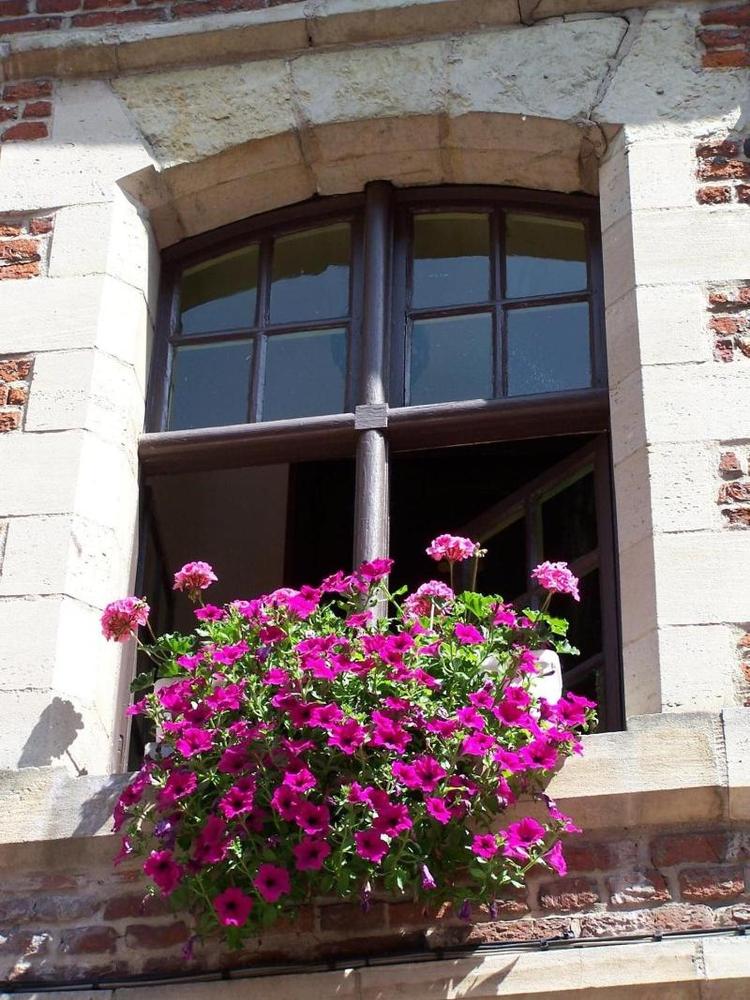 Auberge Du Bon Fermier