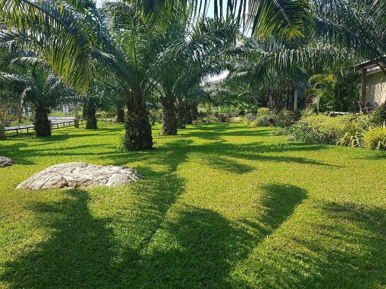 Palm Pran Resort