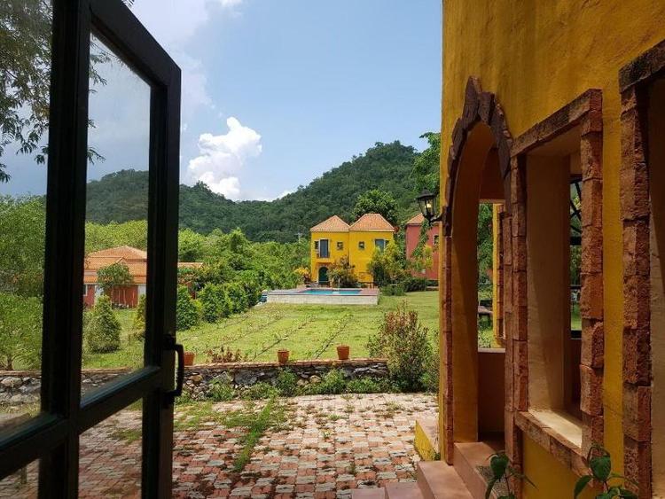 Davinci Di Khao Yai
