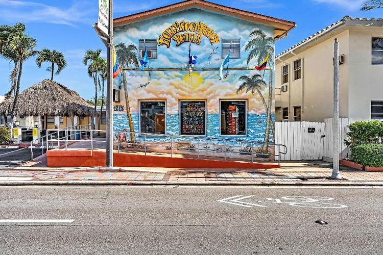 Hollywood Beach Seagull