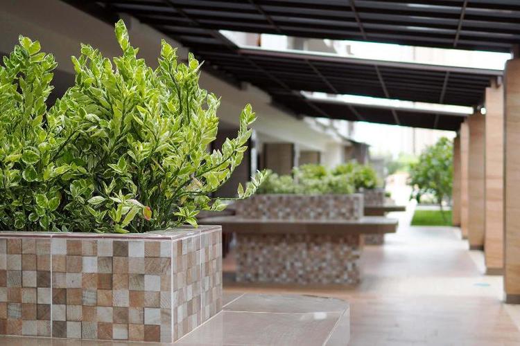 The Mangrove Hotel