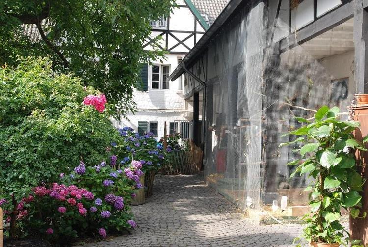 RheinRiver Guesthouse - Boutique Art Hotel am Rhei