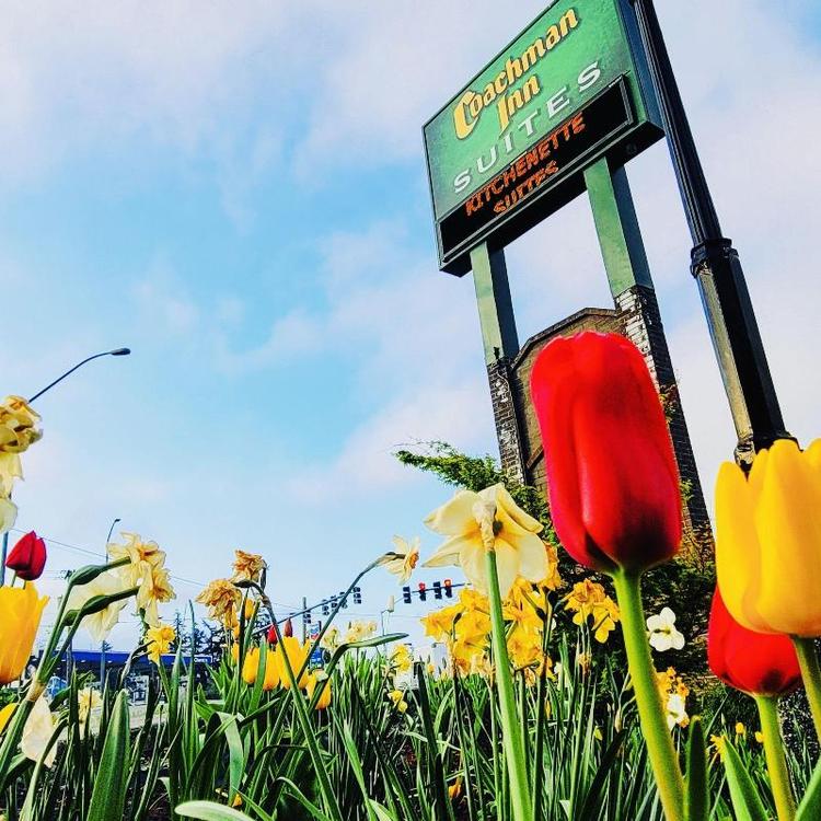 Coachman Inn & Suites