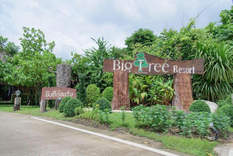 Big Tree Resort