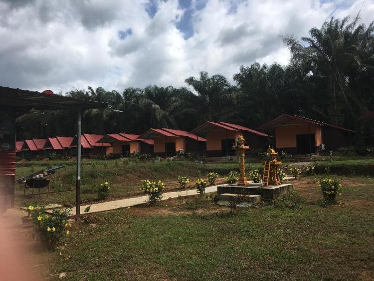 Khao Sok Evergreen House