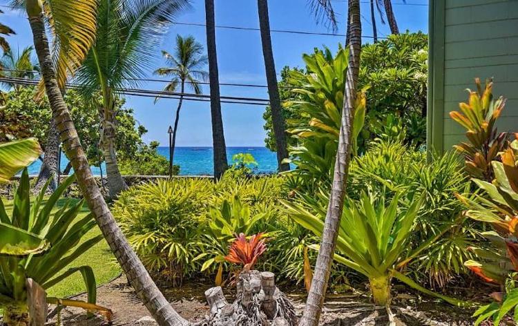 Vacation Condos In Kona