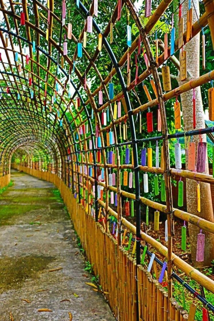 Bamboo Grove Chiang Mai