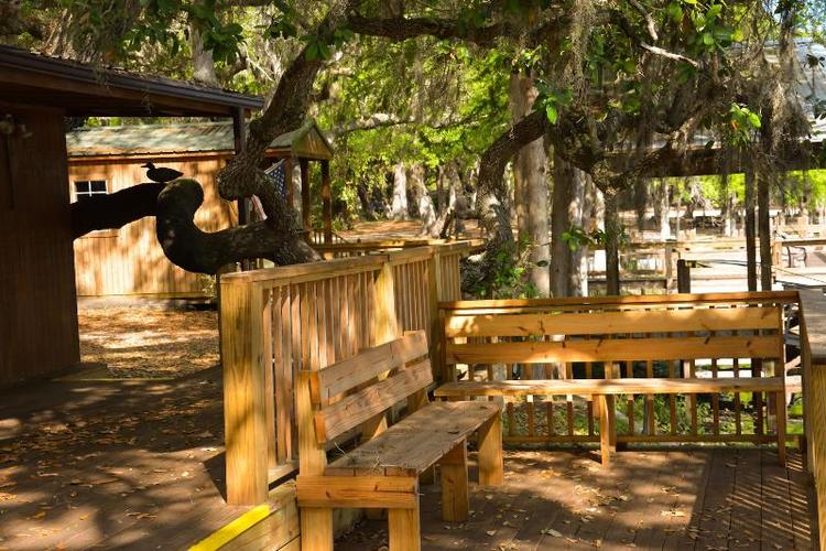 Camp Mack, a Guy Harvey Lodge, Marina & RV Resort