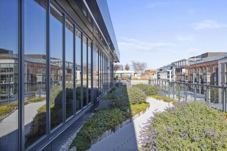 Coda On Half A Placemakr Experience