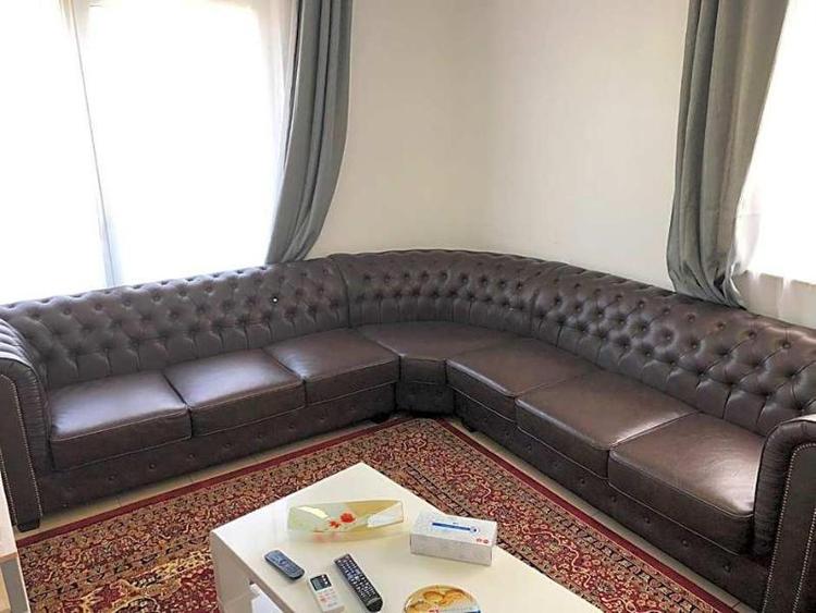 Sahara Falcon