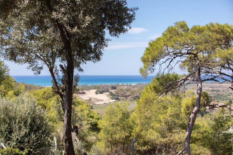 Carlotta 1 | Kaş
