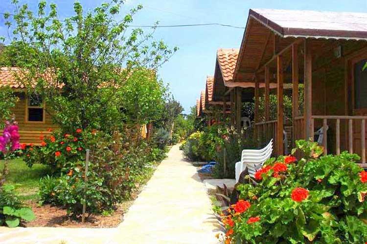 Portakal Bahçesi