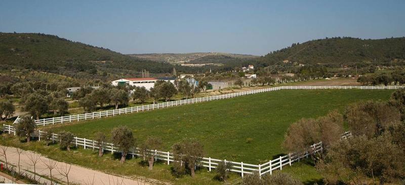 Konvoy Hotel & The Country Club
