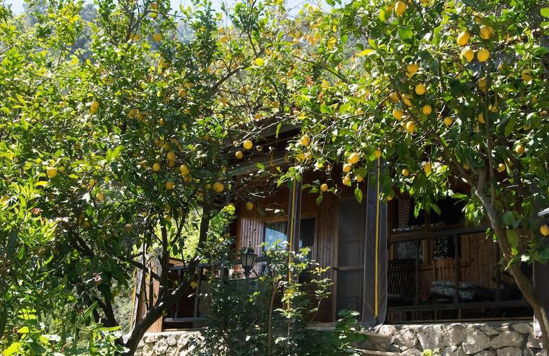 Kairos Bungalows