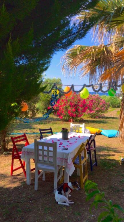 Merve Bag Evi Pansiyon