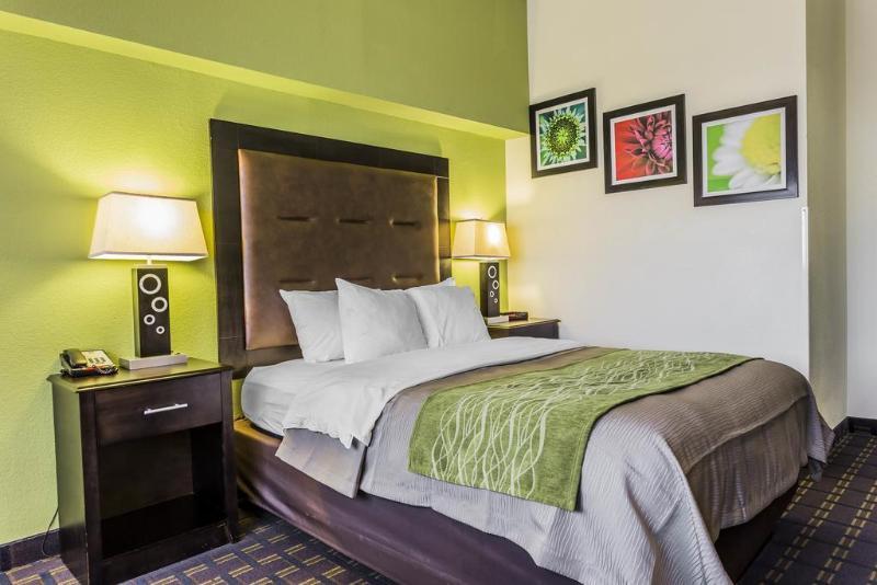Comfort Inn Downtown Charleston